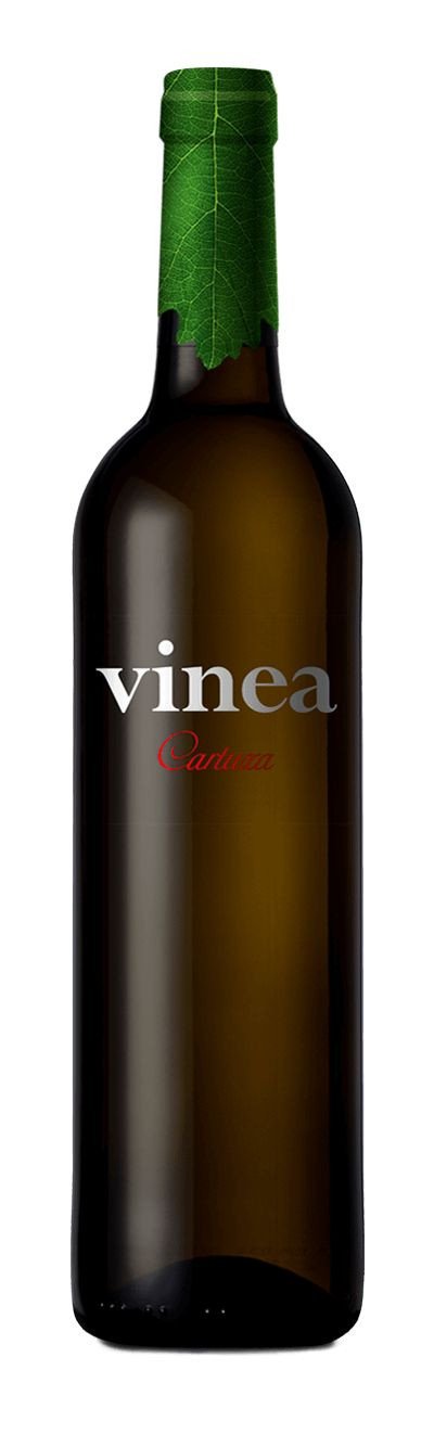 VINEA CARTUXA BRANCO