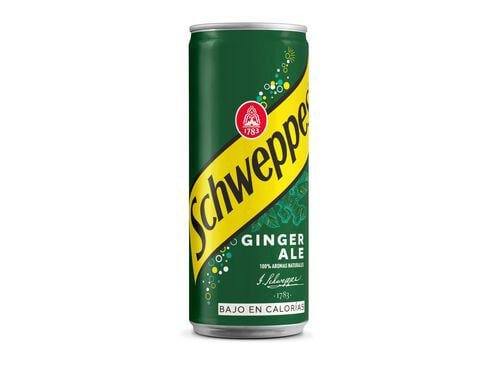 Ginger Ale Schweppes Can 0.33l