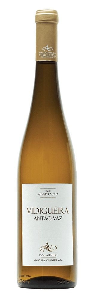VIDIGUEIRA ANTAO VAZ DOC BRACO